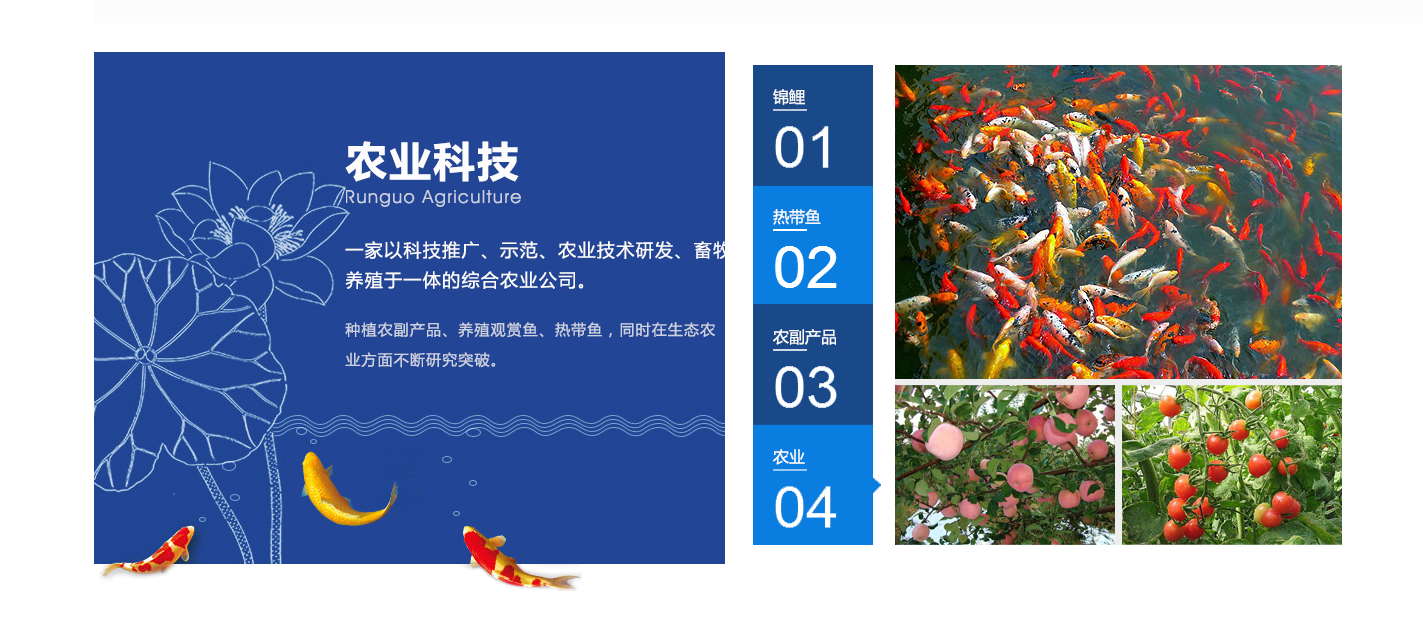 开云体育官方下载app